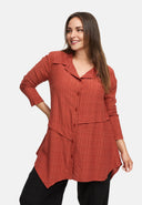 Blús Líne-A Asiméadrach 'Ferina'